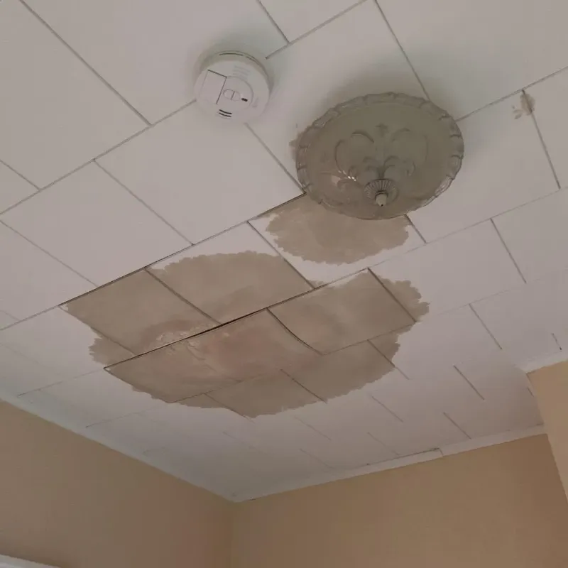 Ceiling Water Damage Repair in Hillsboro, MS